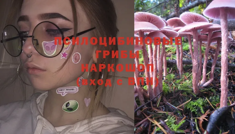 Галлюциногенные грибы Magic Shrooms  Обнинск 